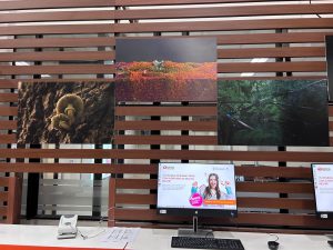 fotos deficit de la naturaleza