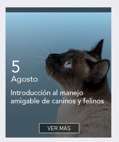 UDLA - Universidad de Las Am&eacute;ricas