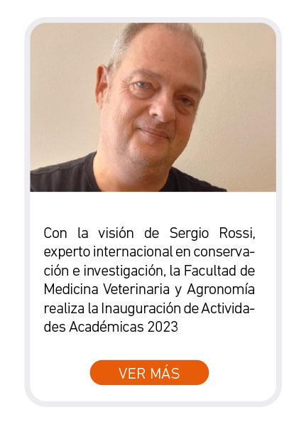 Universidad de Las Am&eacute;ricas