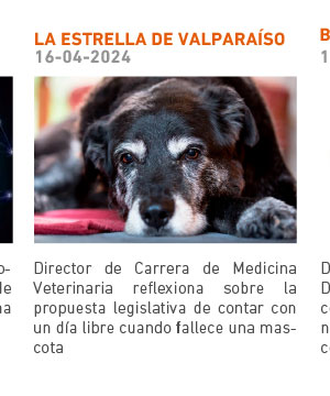 Directora de Carrera de Medicina Veterinaria reflexiona sobre la propuesta legislativa de contar con un d&iacute;a libre cuando fallece una mascota