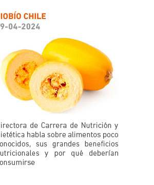 Directora de Carrera de Nutrici&oacute;n y Diet&eacute;tica habla sobre alimentos poco conocidos, sus grandes beneficios nutricionales y por qu&eacute; deber&iacute;an consumirse