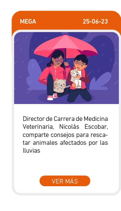 Universidad de Las Am&eacute;ricas