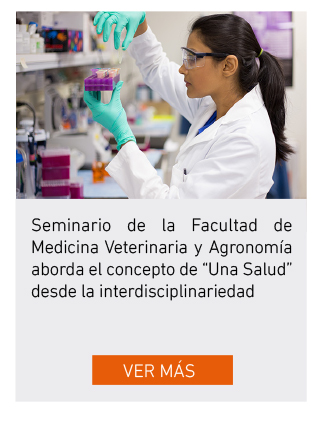UDLA - Universidad de Las Am&eacute;ricas