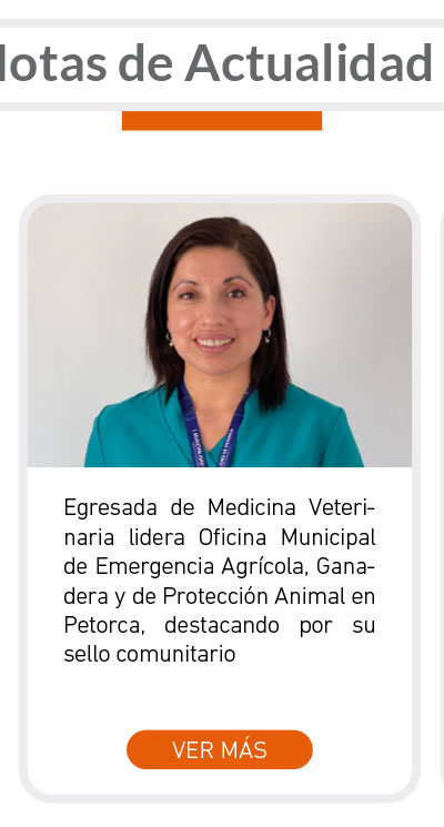 Universidad de Las Am&eacute;ricas