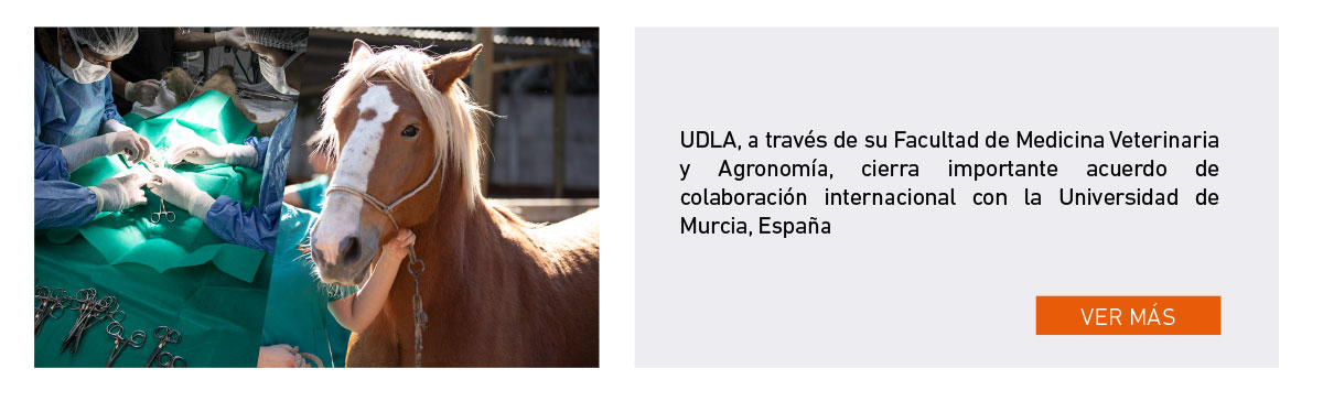 UDLA - Universidad de Las Am&eacute;ricas