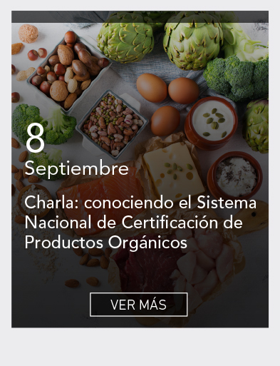 UDLA - Universidad de Las Am&eacute;ricas