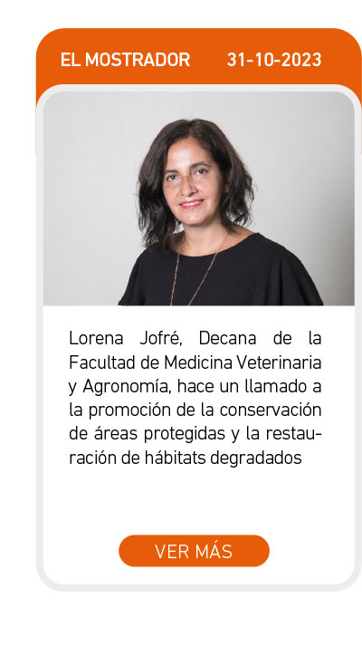 Universidad de Las Am&eacute;ricas