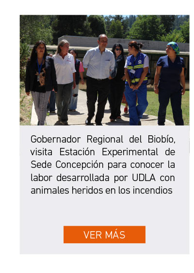 Universidad de Las Am&eacute;ricas