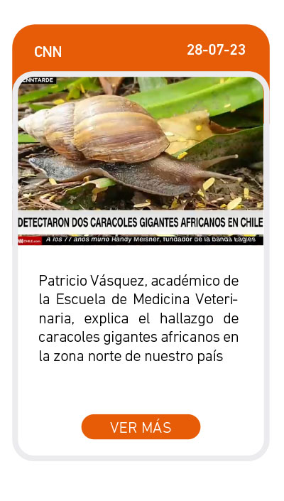 Universidad de Las Am&eacute;ricas