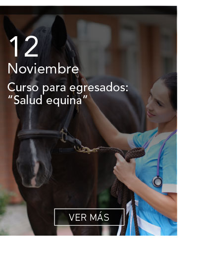 Universidad de Las Am&eacute;ricas