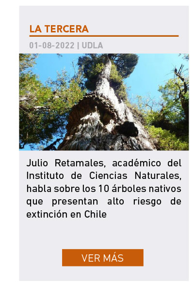 UDLA - Universidad de Las Am&eacute;ricas