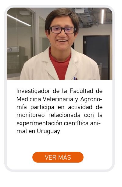 Universidad de Las Am&eacute;ricas