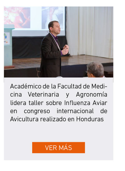 Universidad de Las Am&eacute;ricas