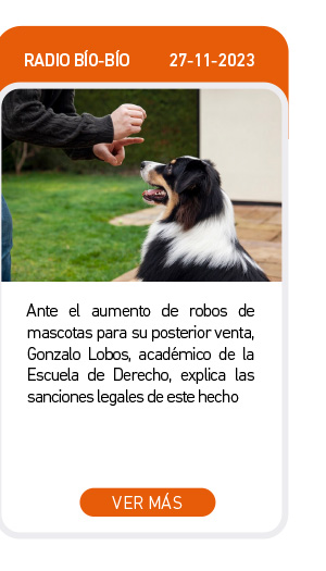 Ante el aumento de robos de mascotas para su posterior venta, Gonzalo Lobos, acad&eacute;mico de la Escuela de Derecho, explica las sanciones legales de este hecho