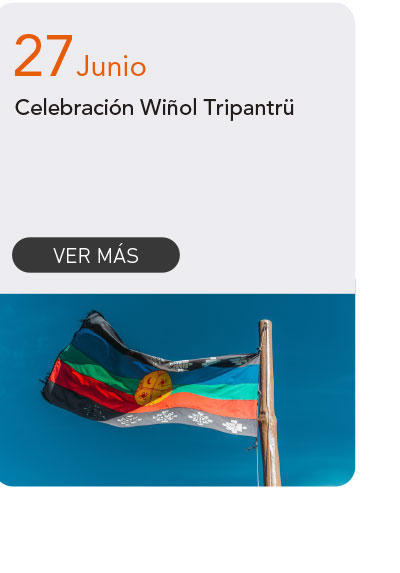 Universidad de Las Am&eacute;ricas