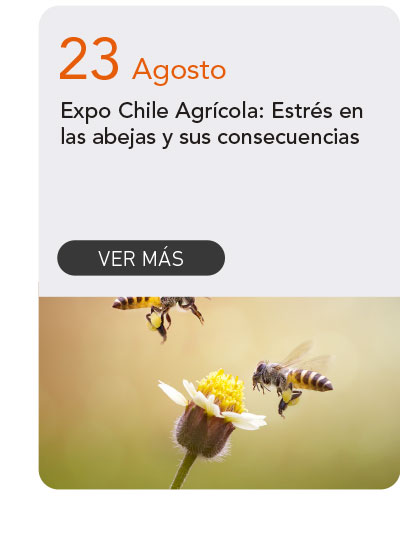 Universidad de Las Am&eacute;ricas