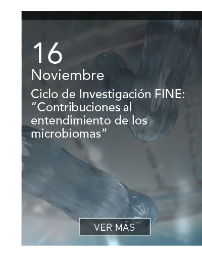 Universidad de Las Am&eacute;ricas