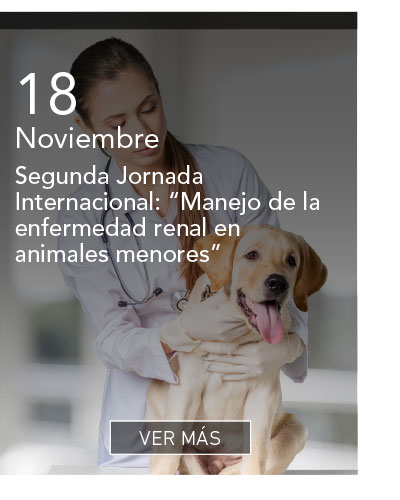 Universidad de Las Am&eacute;ricas