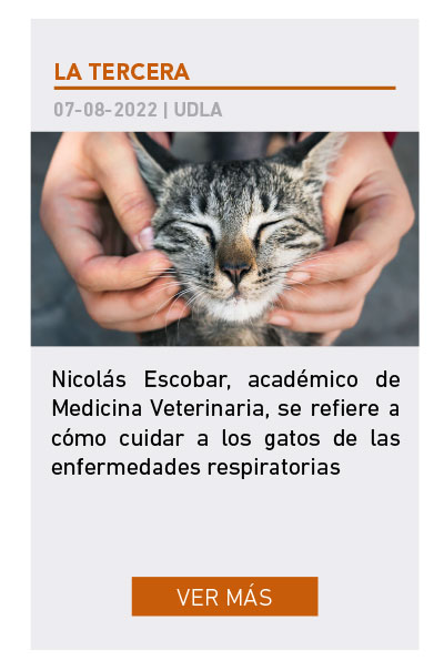 UDLA - Universidad de Las Am&eacute;ricas