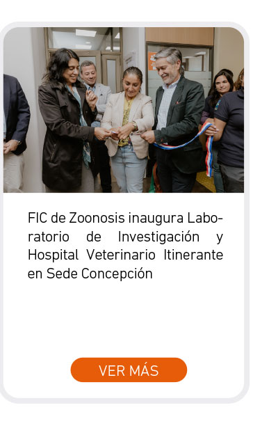 Universidad de Las Am&eacute;ricas