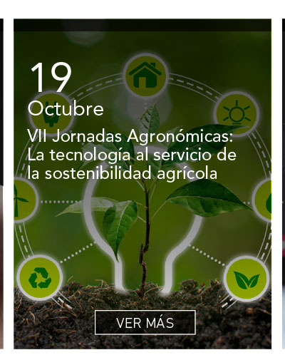 Universidad de Las Am&eacute;ricas