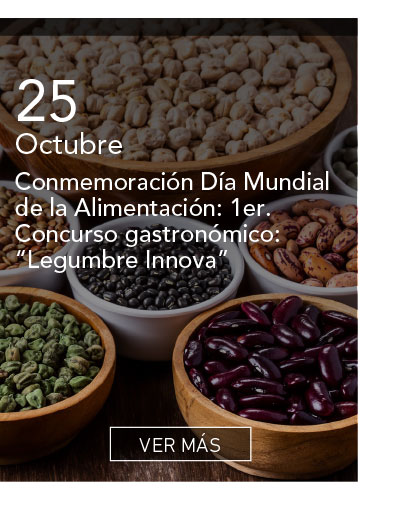 Universidad de Las Am&eacute;ricas