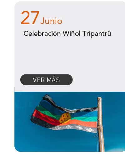 Universidad de Las Am&eacute;ricas