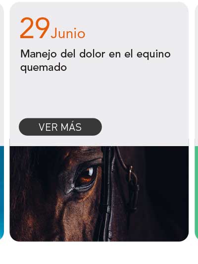 Universidad de Las Am&eacute;ricas