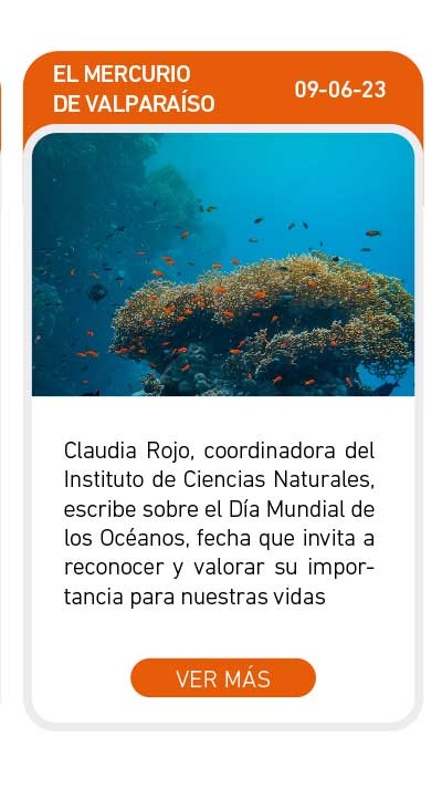 Universidad de Las Am&eacute;ricas