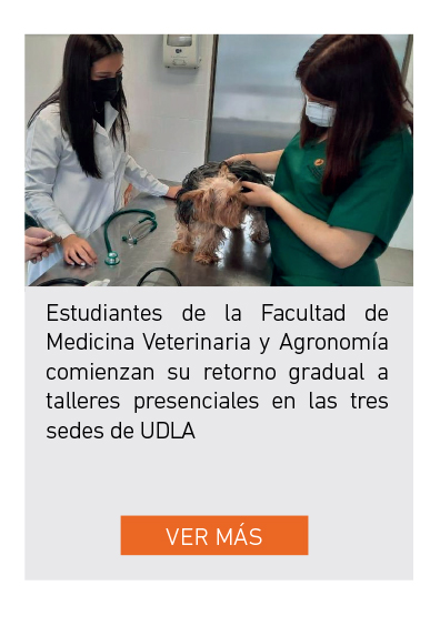 UDLA - Universidad de Las Am&eacute;ricas