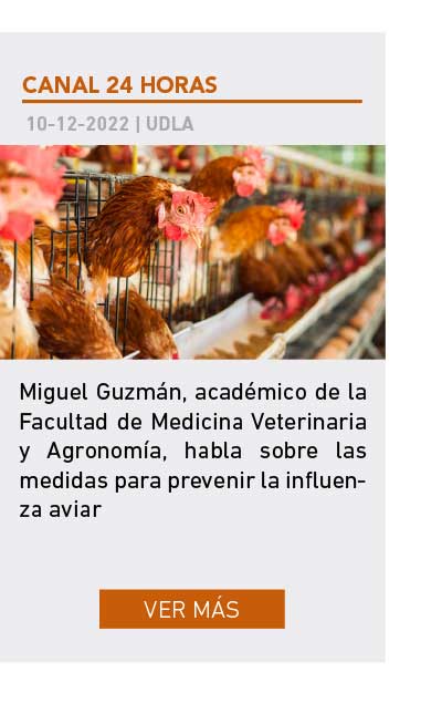 Universidad de Las Am&eacute;ricas