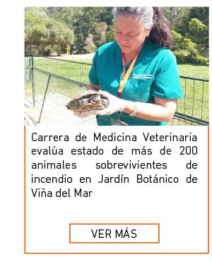 Carrera de Medicina Veterinaria del Campus Los Casta&ntilde;os eval&uacute;a estado de m&aacute;s de 200 animales sobrevivientes de incendio en Jard&iacute;n Bot&aacute;nico de Vi&ntilde;a del Mar