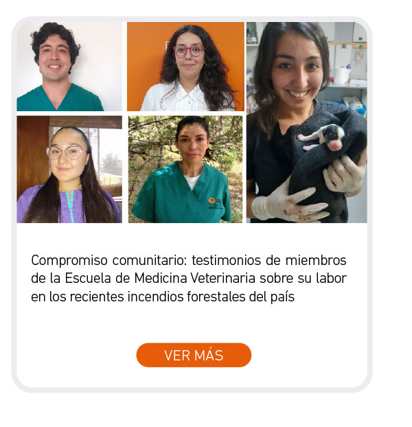 Universidad de Las Am&eacute;ricas