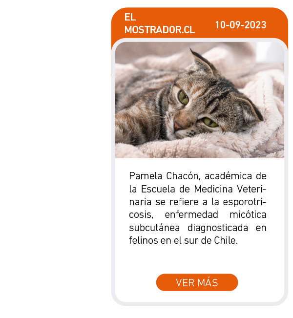 Universidad de Las Am&eacute;ricas