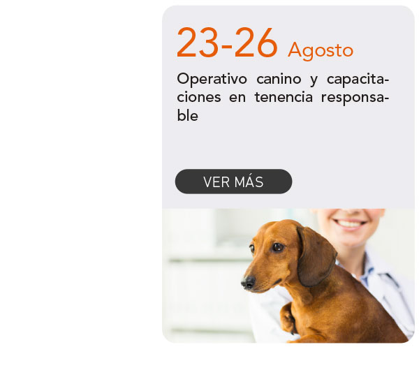 Universidad de Las Am&eacute;ricas