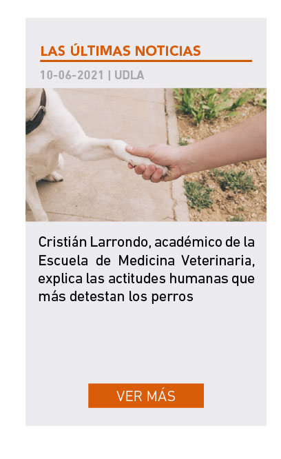 UDLA - Universidad de Las Am&eacute;ricas