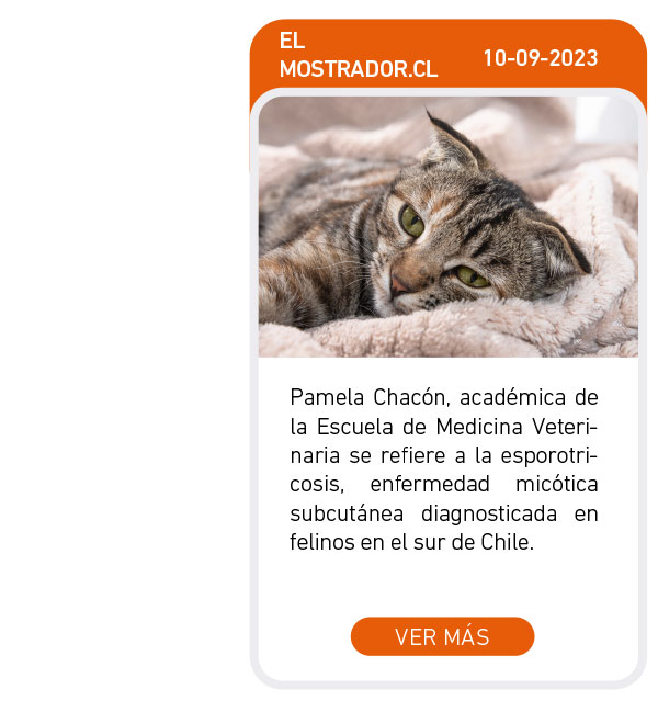 Universidad de Las Am&eacute;ricas