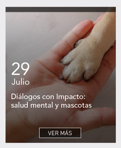 UDLA - Universidad de Las Am&eacute;ricas