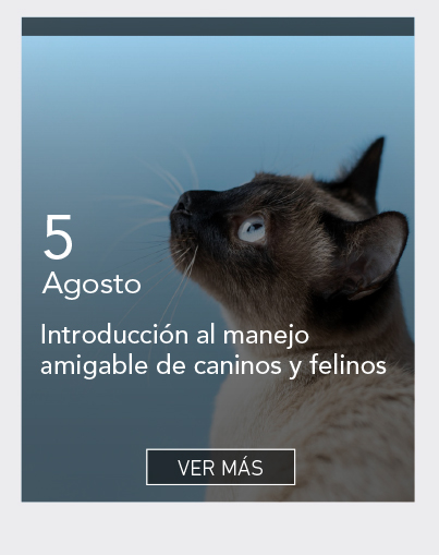 UDLA - Universidad de Las Am&eacute;ricas