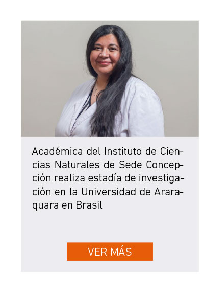 Universidad de Las Am&eacute;ricas