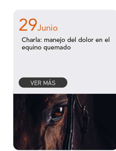 Universidad de Las Am&eacute;ricas