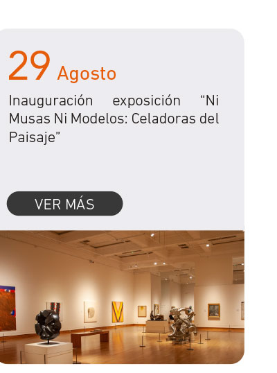 Universidad de Las Am&eacute;ricas