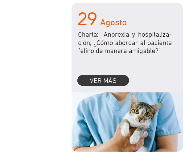 Universidad de Las Am&eacute;ricas