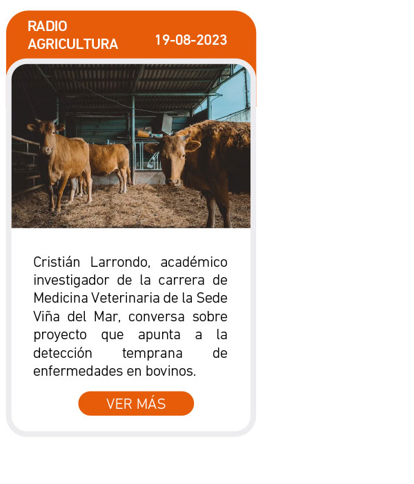 Universidad de Las Am&eacute;ricas