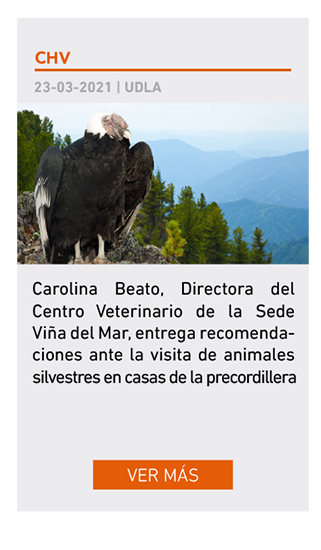 UDLA - Universidad de Las Am&eacute;ricas