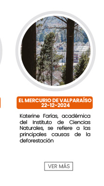 Katerine Farías, académica del Instituto de Ciencias Naturales, se refiere a las principales causas de la deforestación