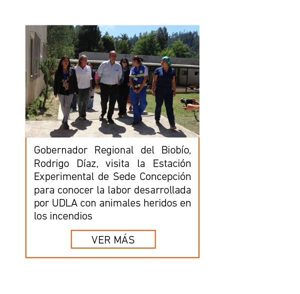 Universidad de Las Am&eacute;ricas